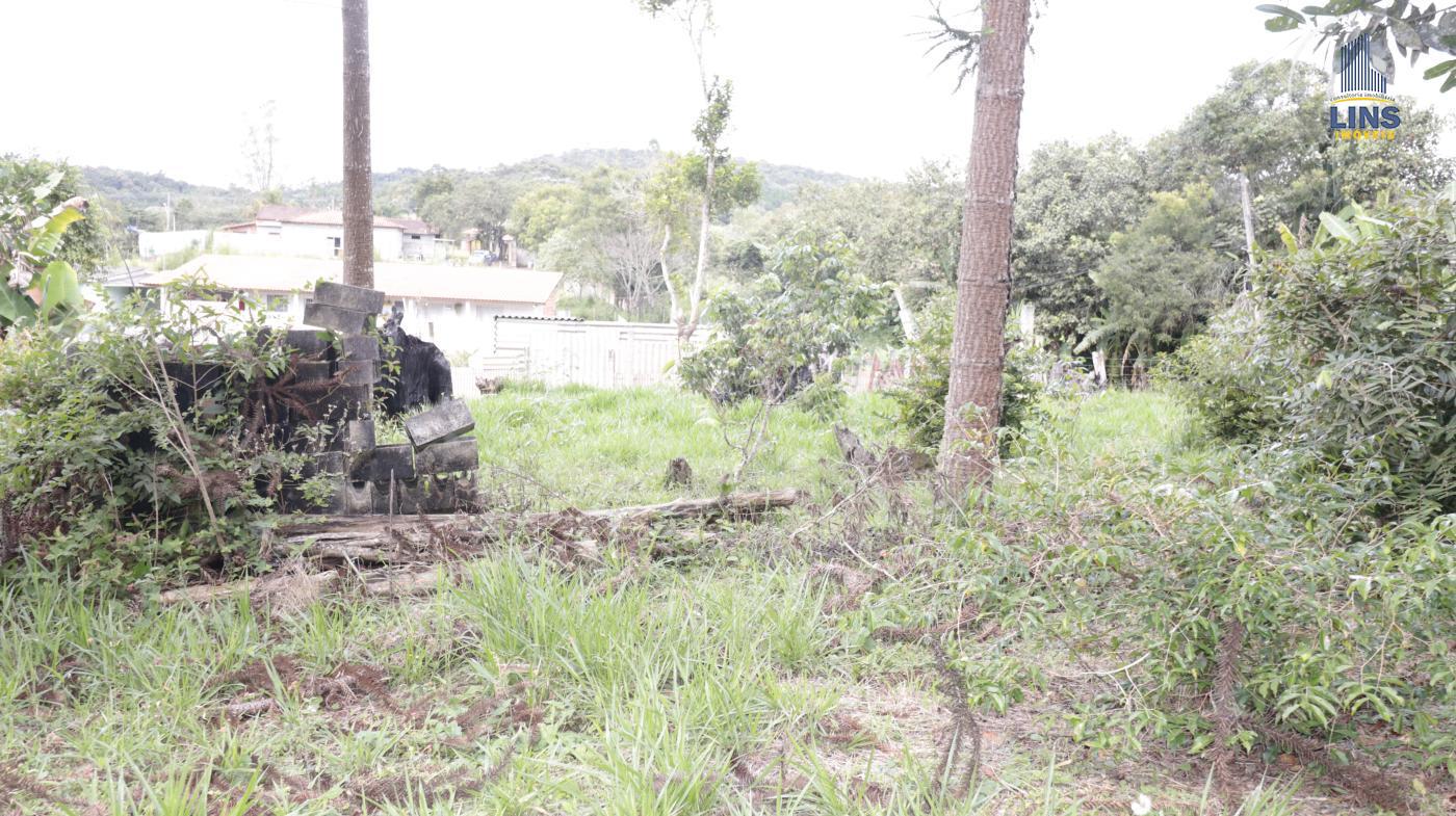 Chácara, 2 quartos, 2500 m² - Foto 8