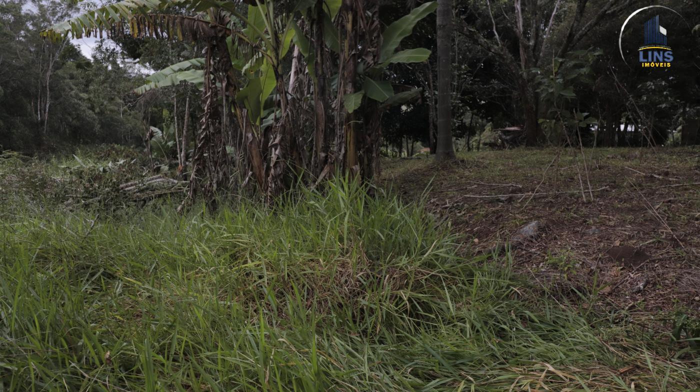 Chácara, 2 quartos, 2500 m² - Foto 9