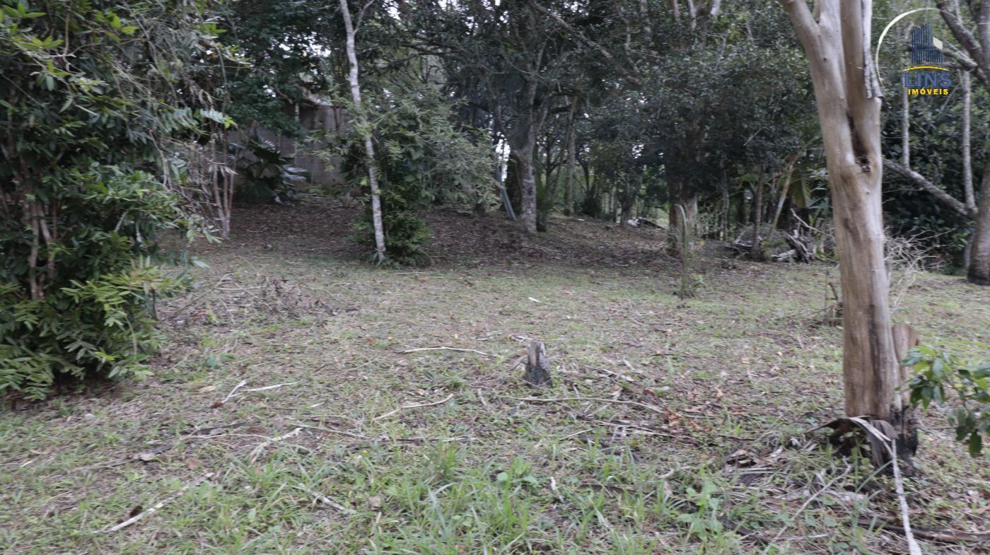 Chácara, 2 quartos, 2500 m² - Foto 10