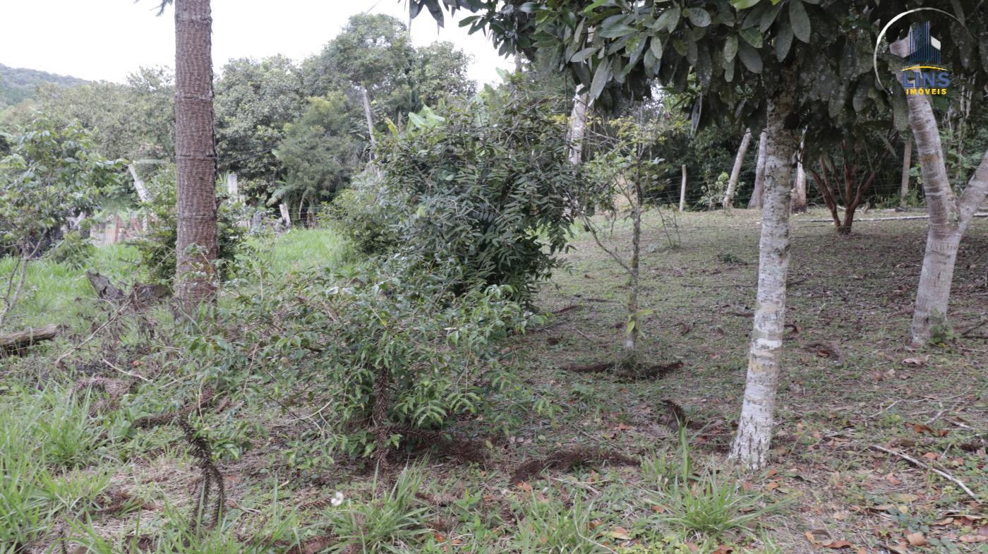 Chácara, 2 quartos, 2500 m² - Foto 11