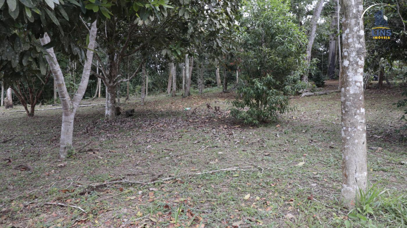 Chácara, 2 quartos, 2500 m² - Foto 12