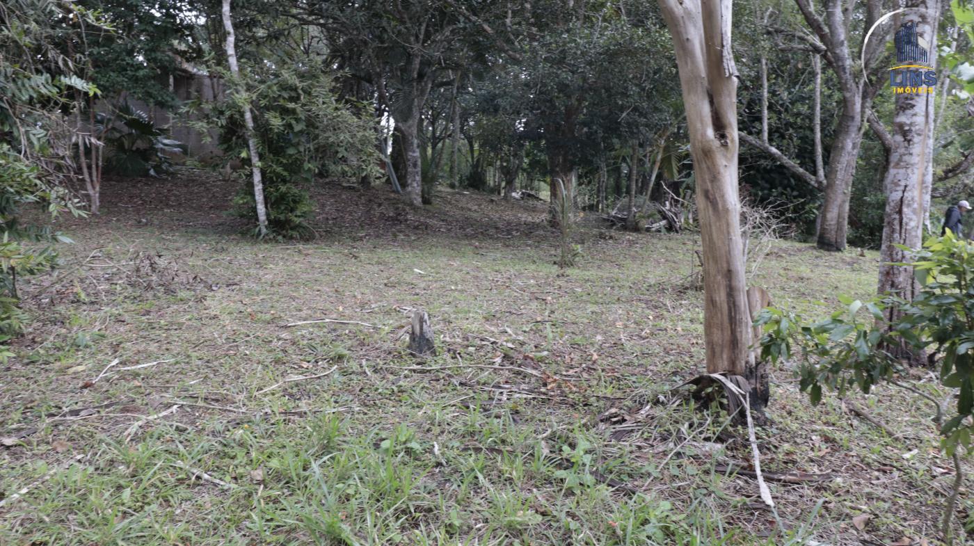 Chácara, 2 quartos, 2500 m² - Foto 13