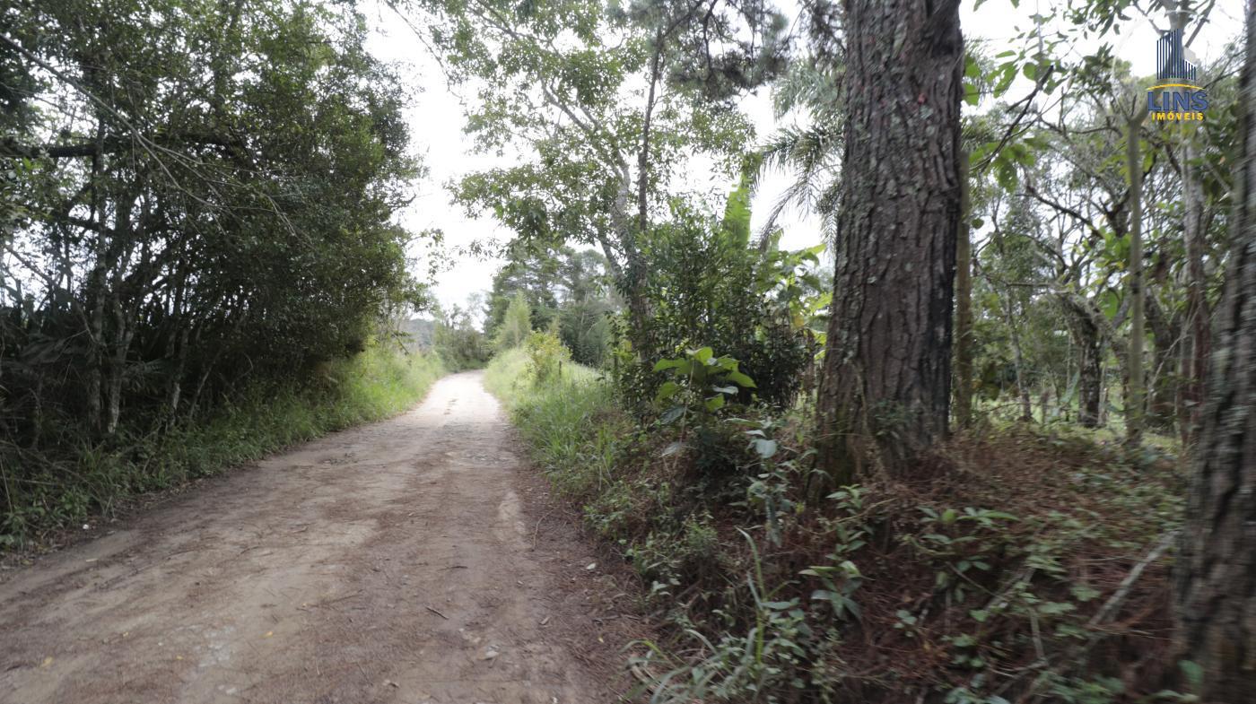 Chácara, 2 quartos, 2500 m² - Foto 17