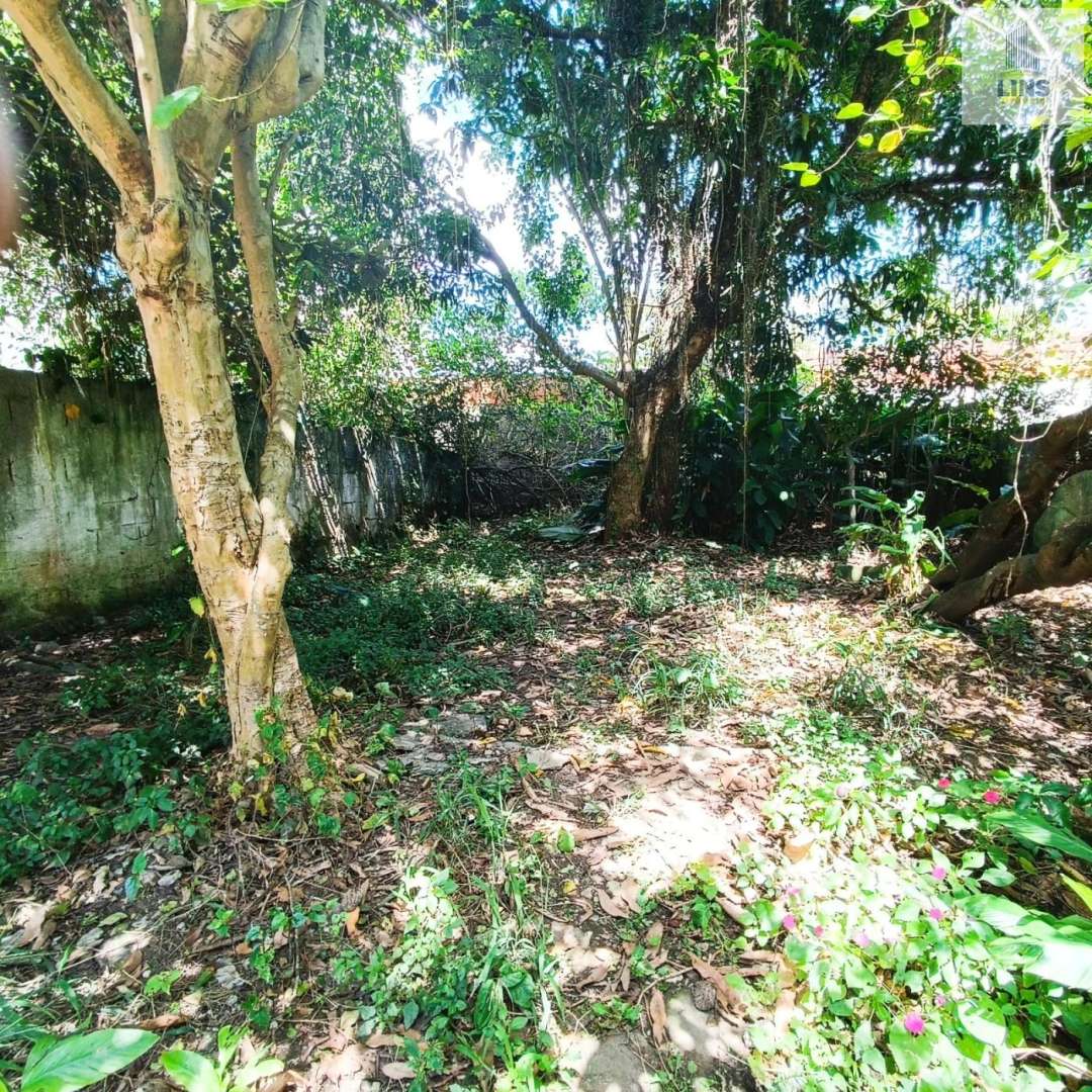 Casa, 3 quartos, 90 m² - Foto 12